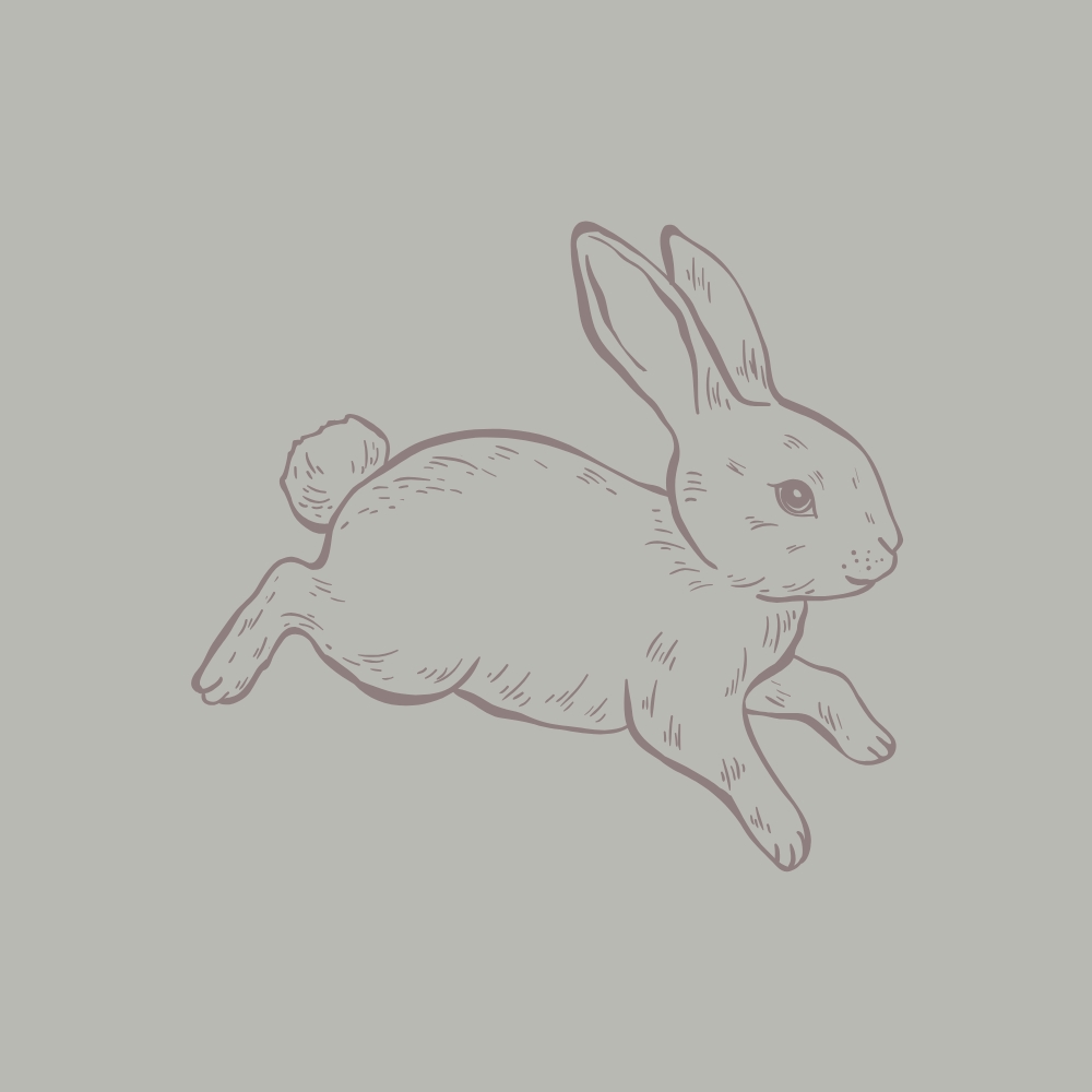 BUNNY OULINE, GREEN BACKGROUND WITH PURPLE OUTLINE